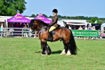 SBM_09353
