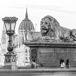 Black & White portfolio