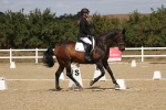 SBM_022072