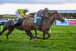 281224-Race 4-Siog Geal-4606