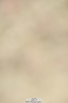 230701A-095814-04646