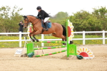 SBM_005886