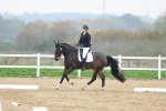 SBM_006335