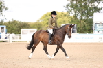 SBM_09081
