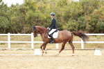 SBM_003809