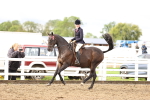 SBM_00272