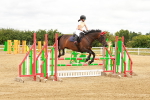 SBM_002213