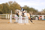 SBM_003945