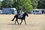 WJ6_8371