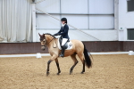SBM_000994
