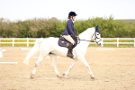 SBM_007465