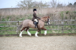 SBM_006053