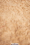 240526A-100128-07267