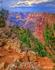 Canyon Rocks