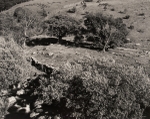 The Lake District, #1, 1987