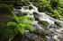 Lumsdale Matlock Fern