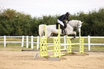 SBM_007335