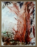 SM38  Old tree