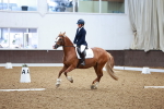 SBM_000381