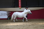 SBM_04920