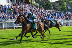 Race 5 17.45pm Sky Bet Price Boosts Handicap portfolio