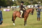 SBM_10694