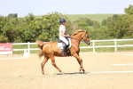 SBM_010081