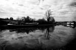 DSC01086 copy