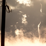Arctic Fog Sea Smoke Vortices Steam Devils
