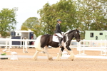 SBM_03850
