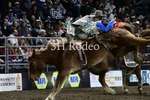 Tucker Curracato_DSC2356
