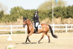 SBM_016983