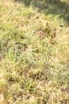 SBM_19763