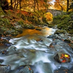 Shimna Autumn Light