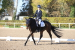 British Dressage portfolio