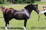 SIAL7122