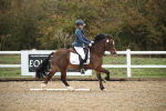 SBM_001702