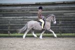 SBM_006001