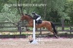 BPP_1639