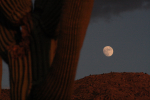Moonrise over Rincons
