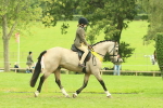 SBM_74996