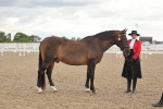 SBM_07647