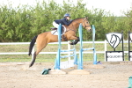 SBM_004208