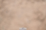 241127-130517-00614