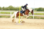SBM_008242