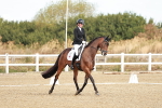 SBM_008660