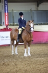 Class P - M&M Champ portfolio