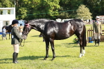 SBM_19267