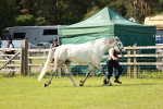 SBM_01706