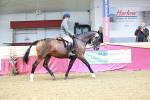 Class 4A - Area Ridden Diamond portfolio